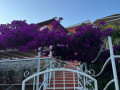 Exterior and surroundings, Villa Gemma Mlini